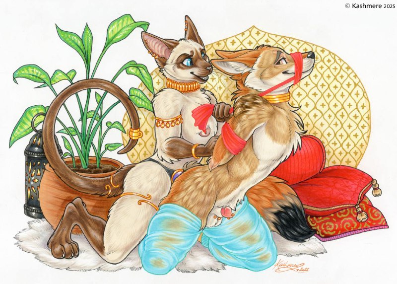 Second harem piece for Meezer and …