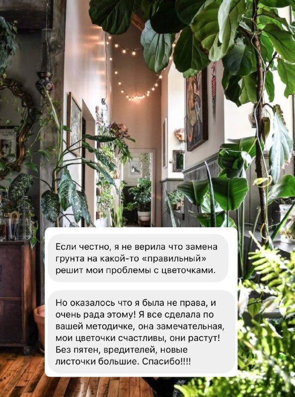 Методичка 🌿 Kati