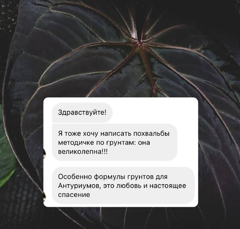 Методичка 🌿 Kati