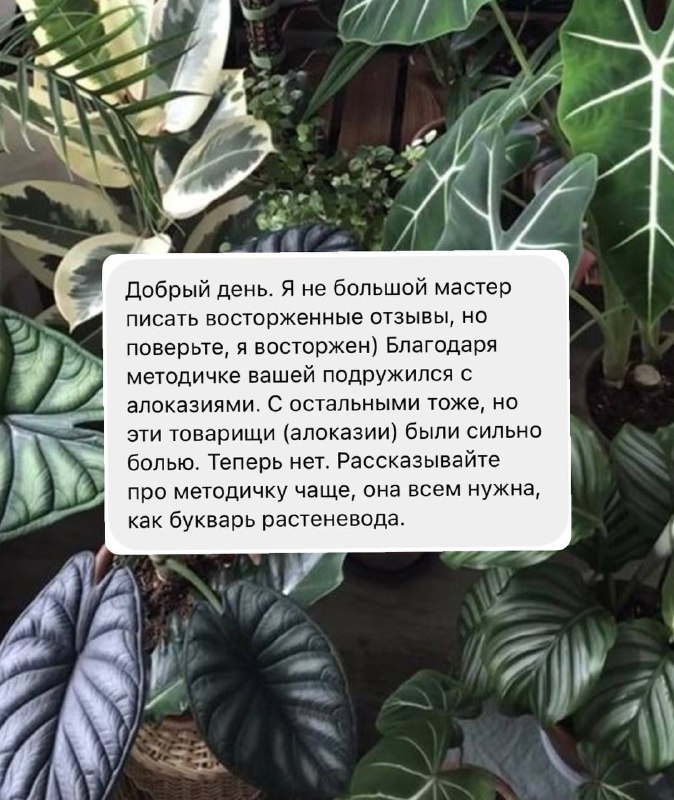 Методичка 🌿 Kati