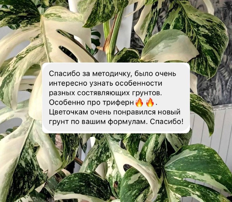 Методичка 🌿 Kati