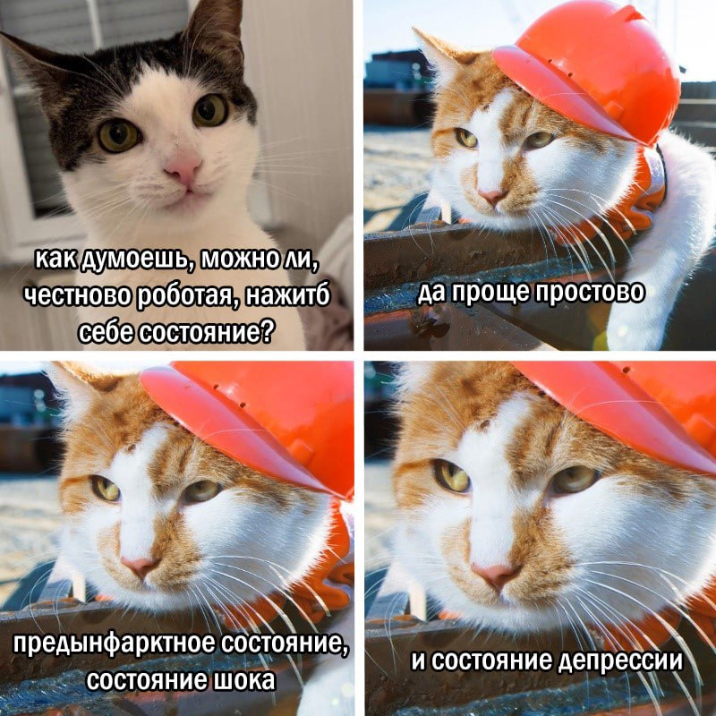 Котицыд