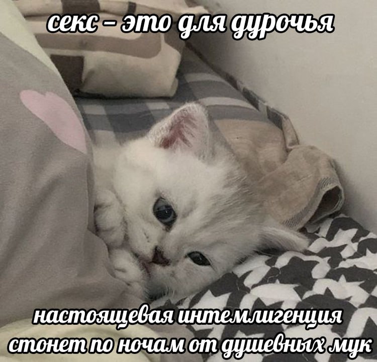 Котицыд