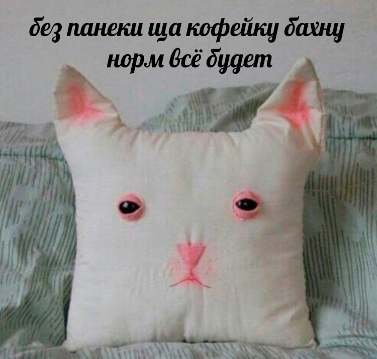 Котицыд