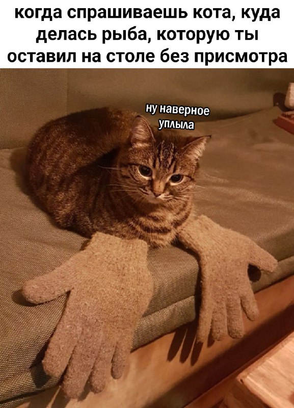 Котицыд