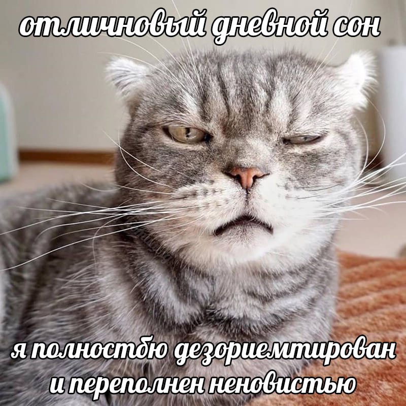 Котицыд