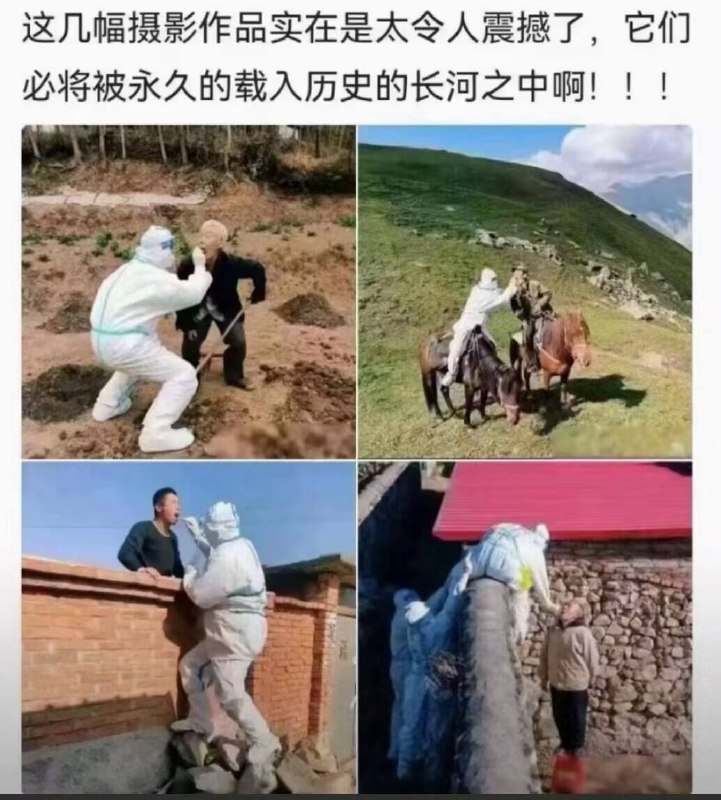 这是什么作品