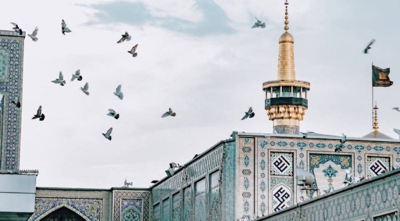 ‏فياليتني طائر أحلُق حول قبّة الرِّضا.
