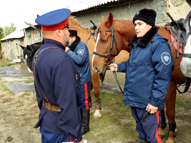 ВКО ВВД