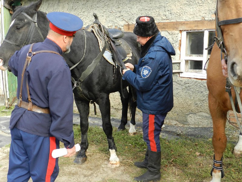 ВКО ВВД