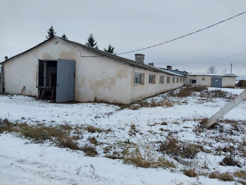 В Татарстане закрыли молочный цех из-за …