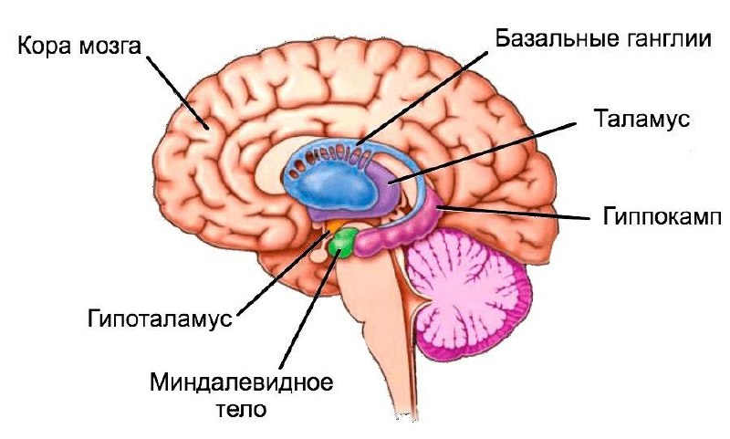 Все страхи живут в одном месте