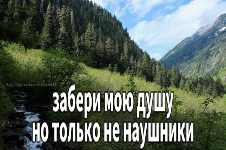 ежик в тумане
