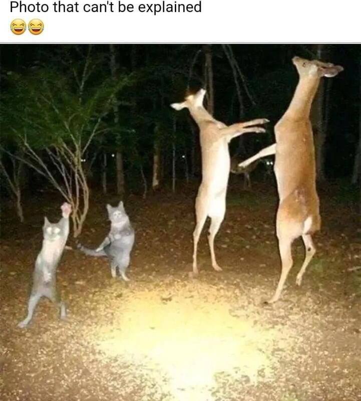 *Фото, которое невозможно объяснить*