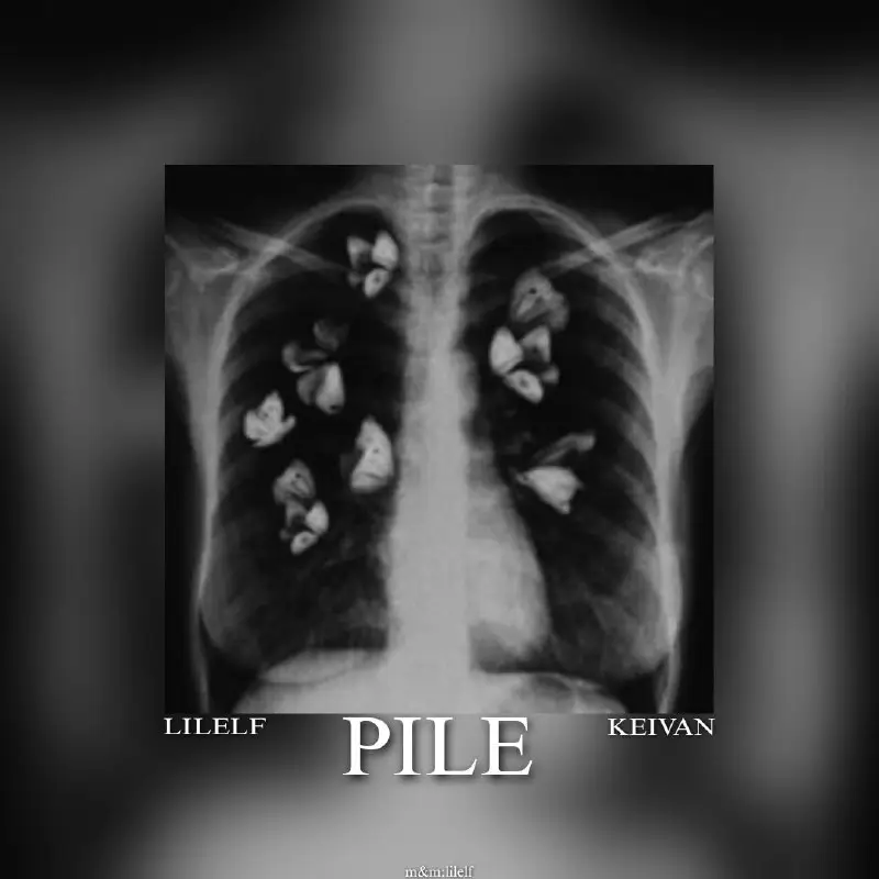 Pile(Prod By Lilelf)