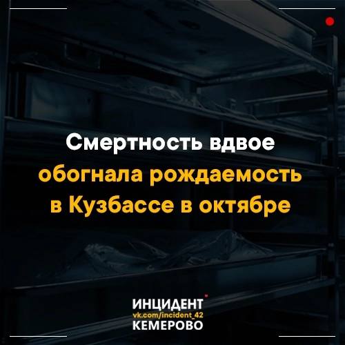 В октябре в Кемеровской области родился …