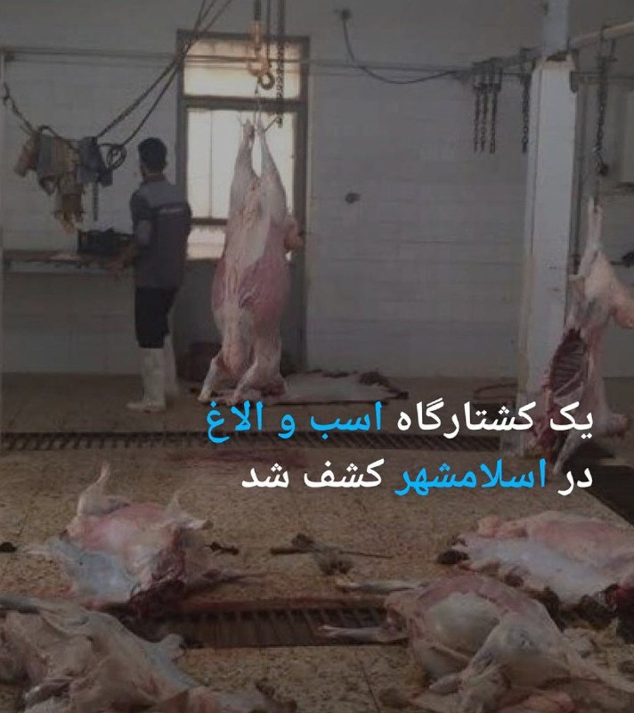 ***🔹***رئیس اداره دامپزشکی شهرستان [#اسلامشهر](?q=%23%D8%A7%D8%B3%D9%84%D8%A7%D9%85%D8%B4%D9%87%D8%B1) از …