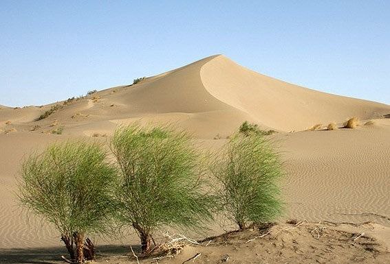 تعهد ایران به مقابله با بیابان‌زایی …