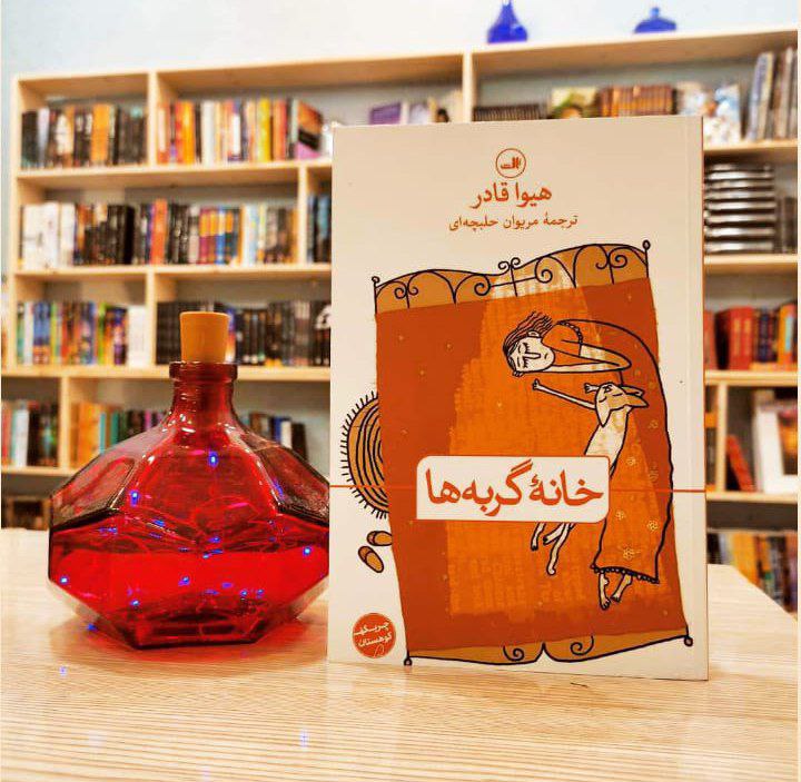 خانه گربه ها