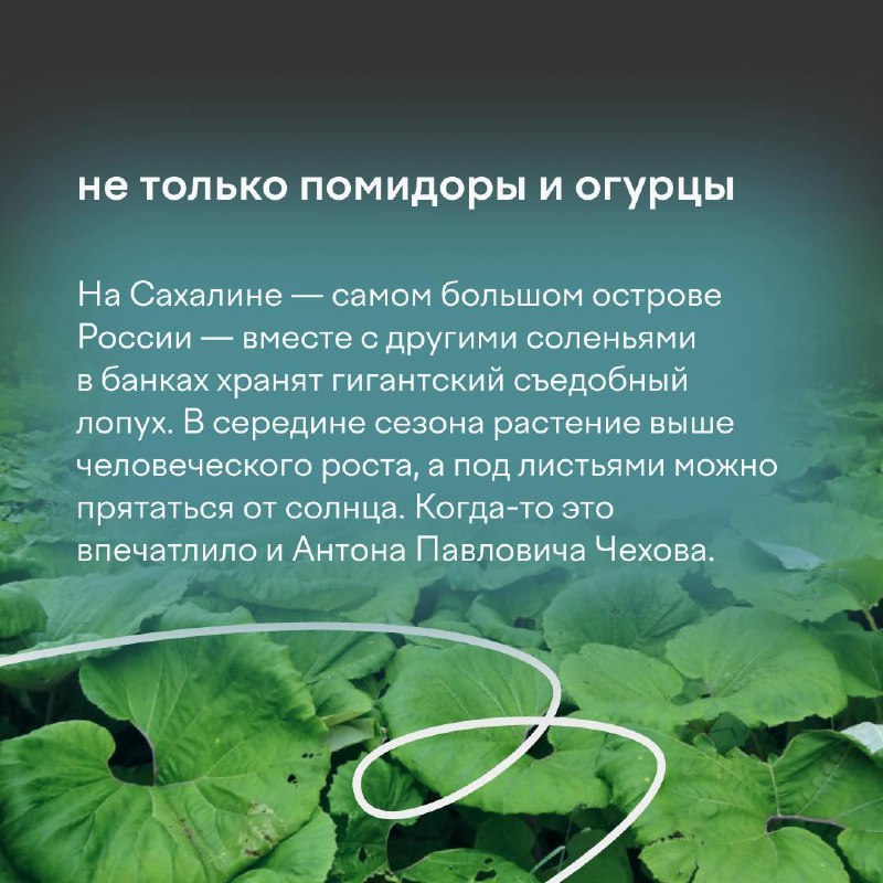 КГБ ПОУ ВЛХТ🌿