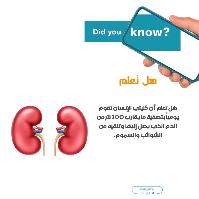 هل تعلم أن كليتي الإنسان تقوم …