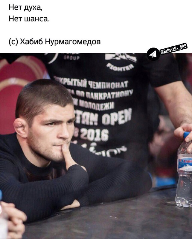 Хабиб Нурмагомедов UFC