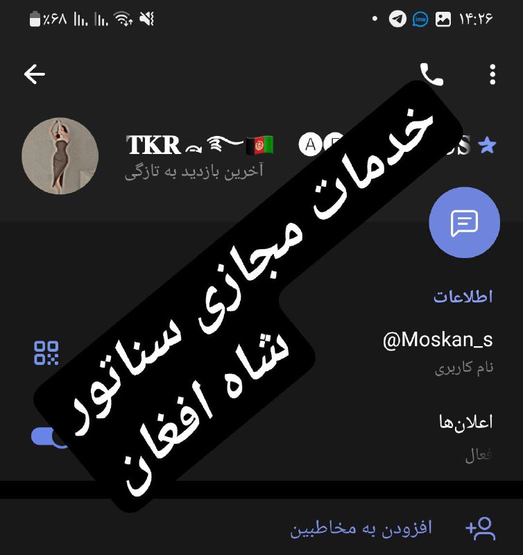 فروش خدمات مجازی سناتور شاه افغان