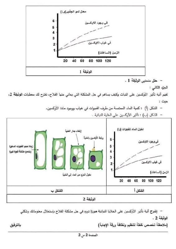 نسعى إلى الجنة 🥰💞