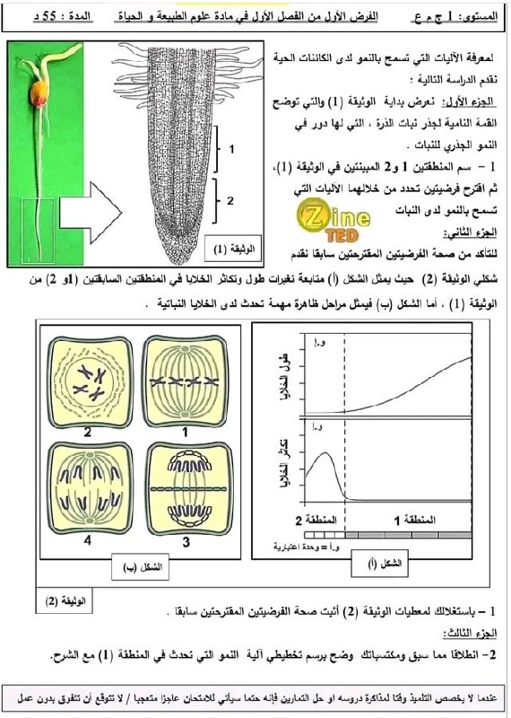 نسعى إلى الجنة 🥰💞