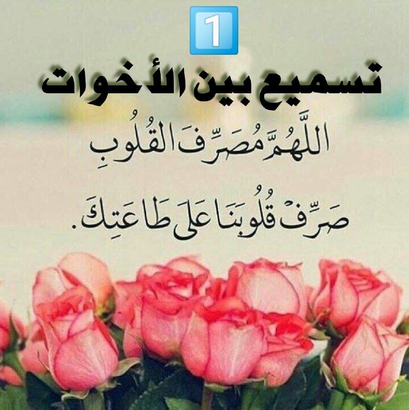 《للنساء فقط》