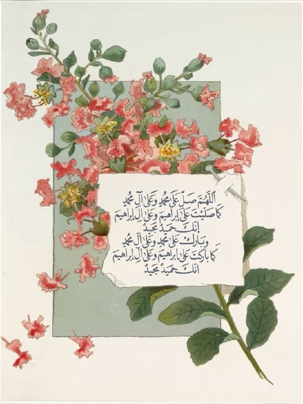 خَمائِل النُور 🌻
