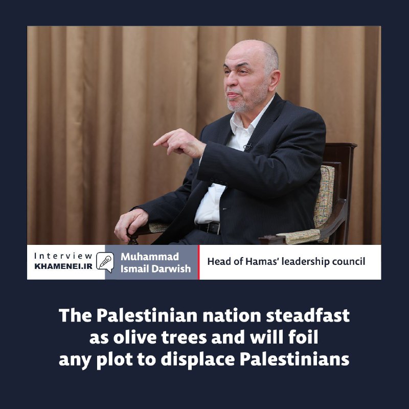 The Palestinian nation steadfast as olive …