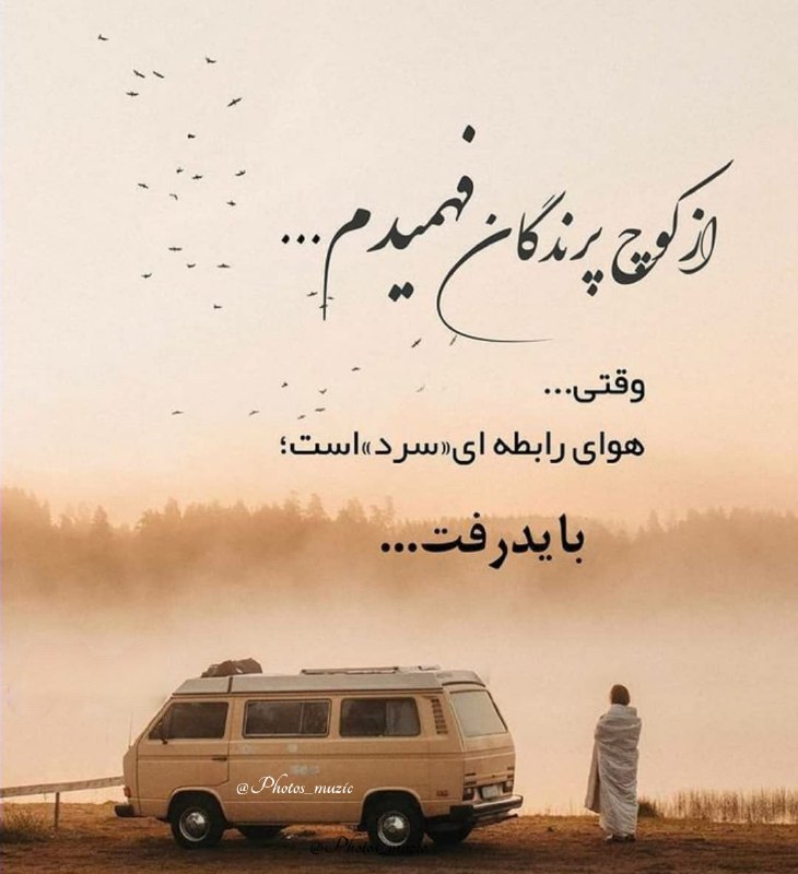 از کوچ پرندگان فهمیدم