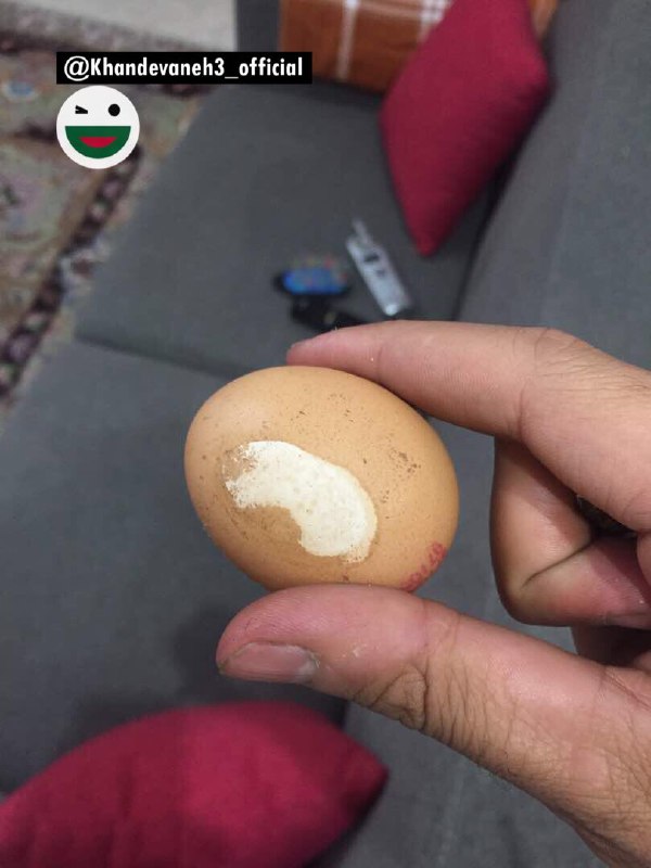 تخم مرغ رو رنگ میکنن به …