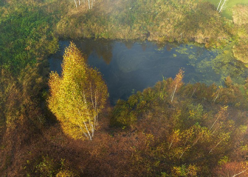 Журавлиная родина, осень