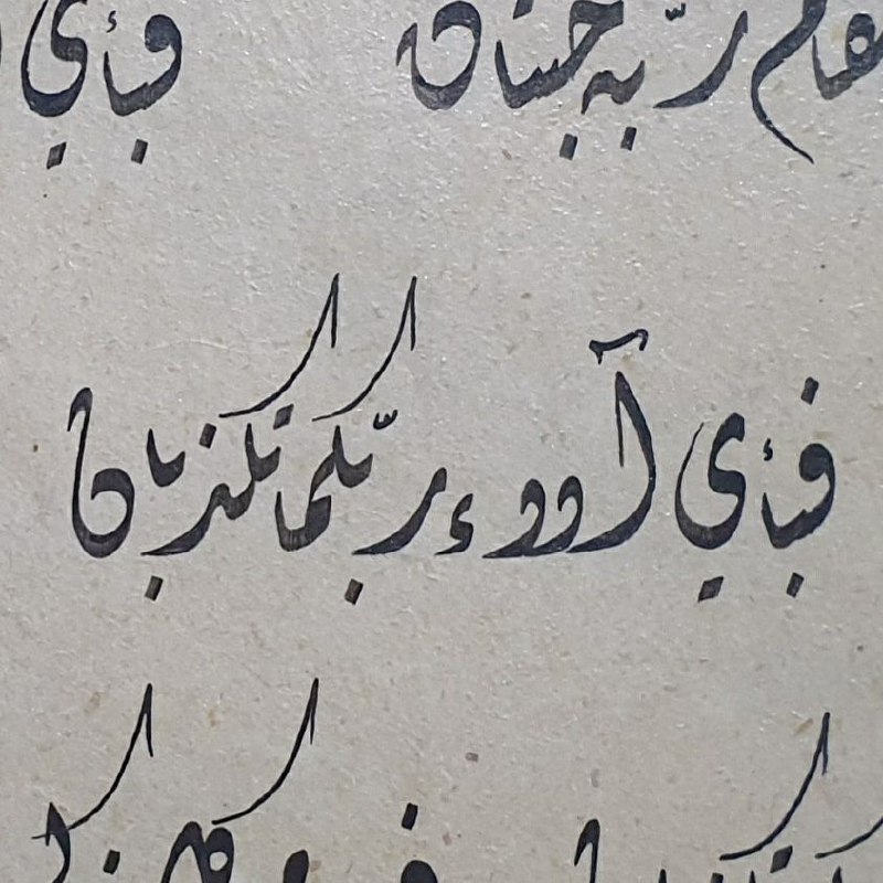 أمشاق وتمارين