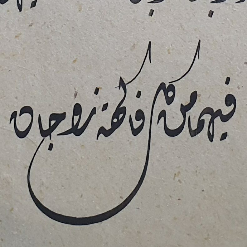 أمشاق وتمارين