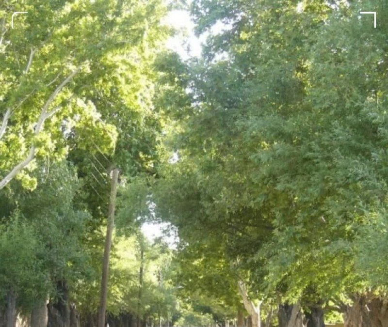 فردوس؛ سرزمین بهشتی خراسان‌جنوبی