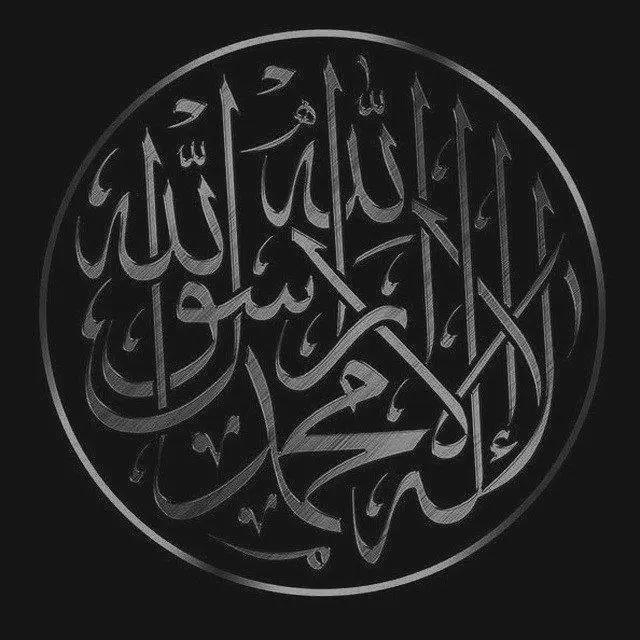 مَاضَرَنِي هَرْجُ الجَاهِلِينَ سَأَظَلُّ ثابِتَ الخُطَى …