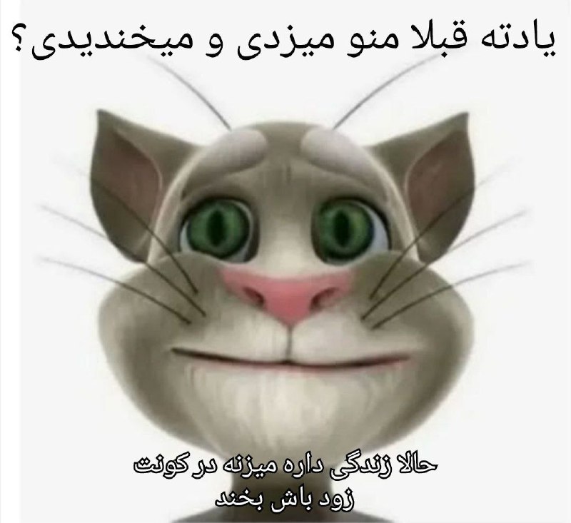 [#meme](?q=%23meme)