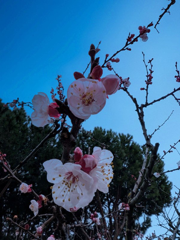 Spring, is that you!?