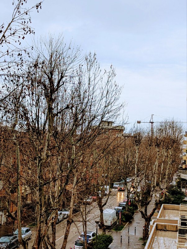 خوشحالم؛