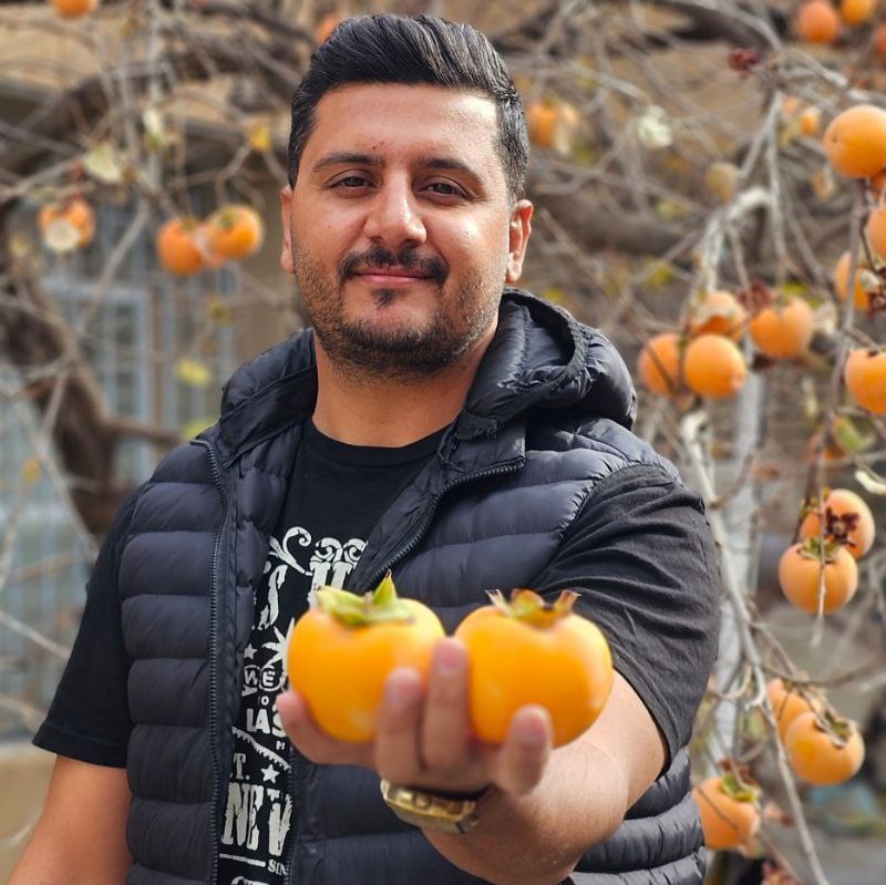 نهال خرمالو ۳ ساله آماده باردهی...