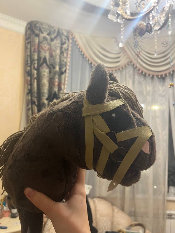 ꒰🎸꒱𝗸𝗵𝘁.𝘀𝘁𝗮𝗿.𝗵𝗵[🦴]