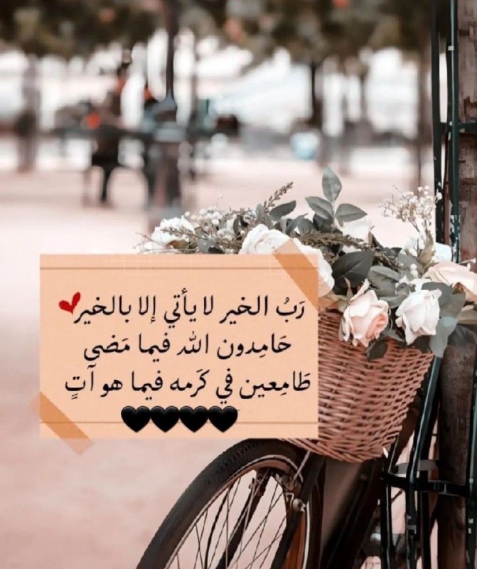 [بنت الجنوب (Twitter)](https://twitter.com/Mo_Anoudi/status/1872600283706003844)