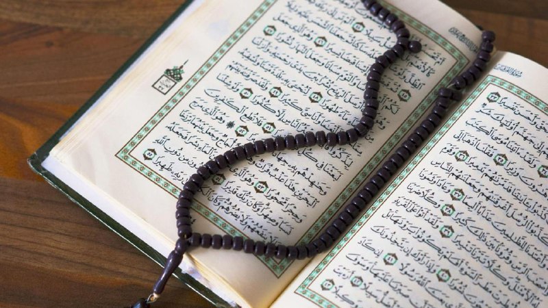 ***☪️***Wenn Muslime mit Euch über Menschenrechte …