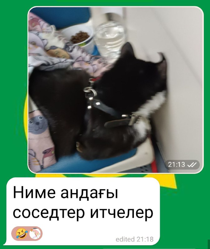 [@daemontsey](https://t.me/daemontsey) кӱлкістіг подпись иткен