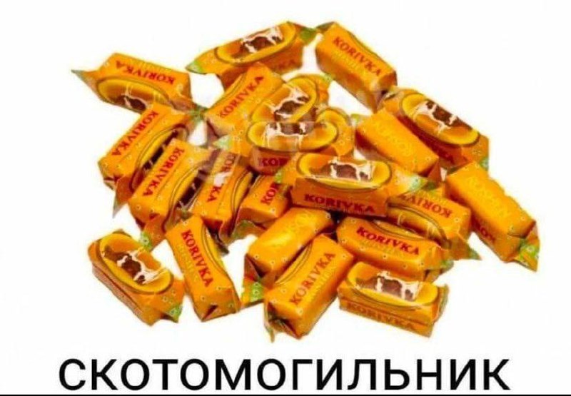 GRISHKINPOVARESHKIN🥴
