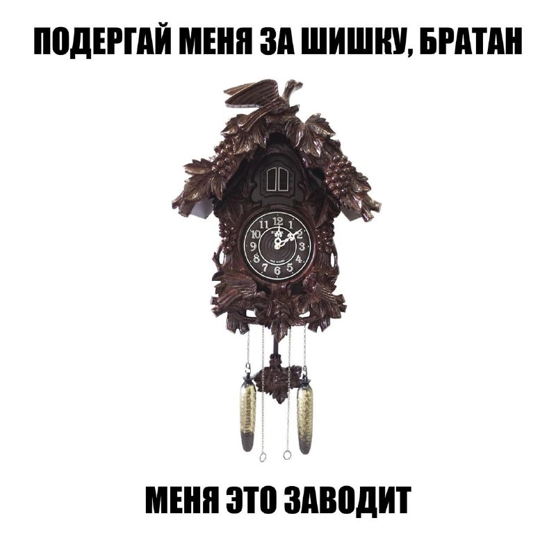 GRISHKINPOVARESHKIN🥴
