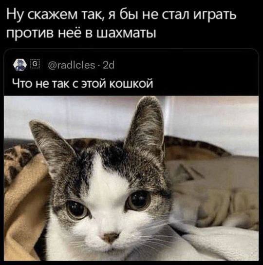 Умора